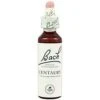Centaury Nº 4 · Bach · 20 Ml