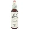 Cerato Nº 5 · Bach · 20 Ml