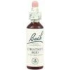 Chestnut Bud Nº 7 · Bach · 20 Ml