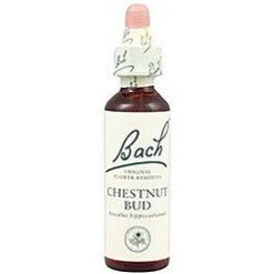 Chestnut Bud Nº 7 · Bach · 20 Ml