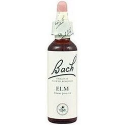 Elm Nº 11 · Bach · 20 Ml