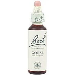 Gorse Nº 13 · Bach · 20 Ml