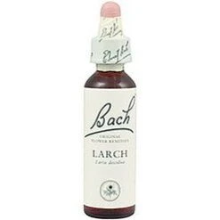 Larch Nº 19 · Bach · 20 Ml