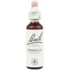 Mimulus Nº 20 · Bach · 20 Ml