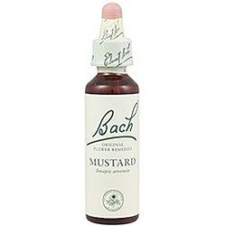 Mustard Nº 21 · Bach · 20 Ml