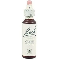 Olive Nº 23 · Bach · 20 Ml