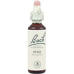 Pine Nº 24 · Bach · 20 Ml