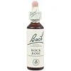 Rock Rose Nº 26 · Bach · 20 Ml