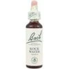 Rock Water Nº 27 · Bach · 20 Ml