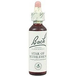 Star Of Bethlehem Nº 29 · Bach · 20 Ml