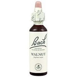 Walnut Nº 33 · Bach · 20 Ml