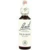 Wild Rose Nº 37 · Bach · 20 Ml