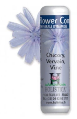 Flower Complex Nº6 - Inquietud · Holistica · 100 Granulos