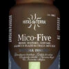 Mico-Five + Chaga · Hifas Da Terra · 70 Cápsulas