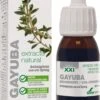 Extracto De Gayuba XXI · Soria Natural · 50 Ml
