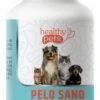 Pelo Sano · Healthy Pets · 100 Comprimidos