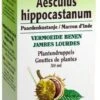 Aesculus Hippocastanum (Castaño De Indias) · Biover · 50 Ml