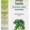 Foeniculum Vulgare (Hinojo) · Biover · 50 Ml