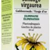 Solidago Virgaurea (Vara De Oro) · Biover · 50 Ml