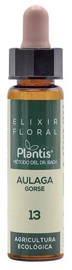Elixir Floral Aulaga (Gorse) Nº 13 · Plantis · 10 Ml