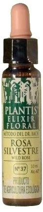 Elixir Floral Rosa Silvestre (Wild Rose) Nº 37 · Plantis · 10 Ml