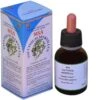 MSA Vaccinium Myrtillus · Herboplanet · 50 Ml