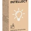 Phyto-Junior 4 Intellect Bio · Dietéticos Intersa · 30 Ml