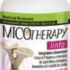 Micotherapy Linfo · AVD Reform · 90 Cápsulas