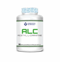 ALC (Acetil L-Carnitina) · Scientiffic Nutrition · 90 Cápsulas